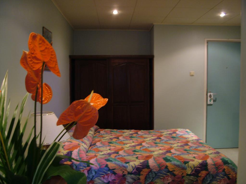 Ambassador Hotel & Casino Paramaribo Pokój zdjęcie